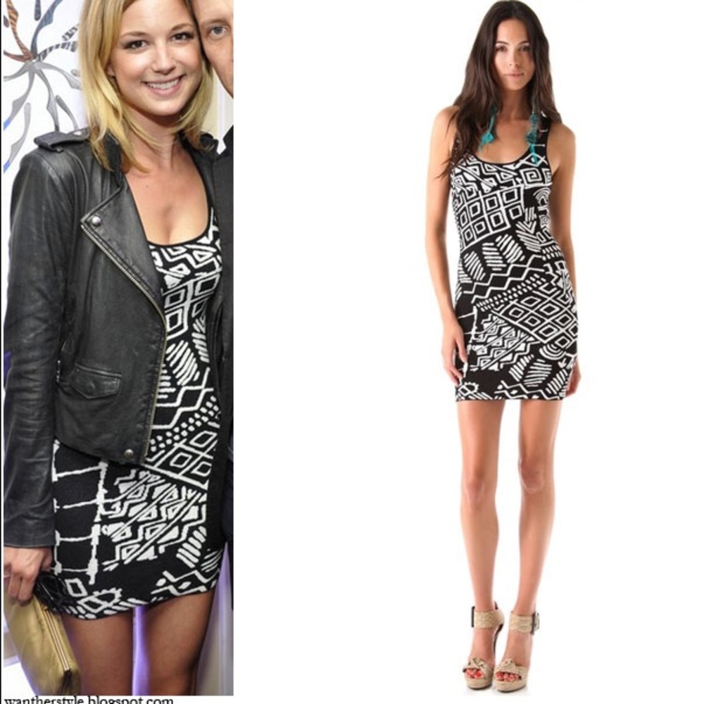 Torn by Ronny Kobo Sammy Tribal Knit Dress